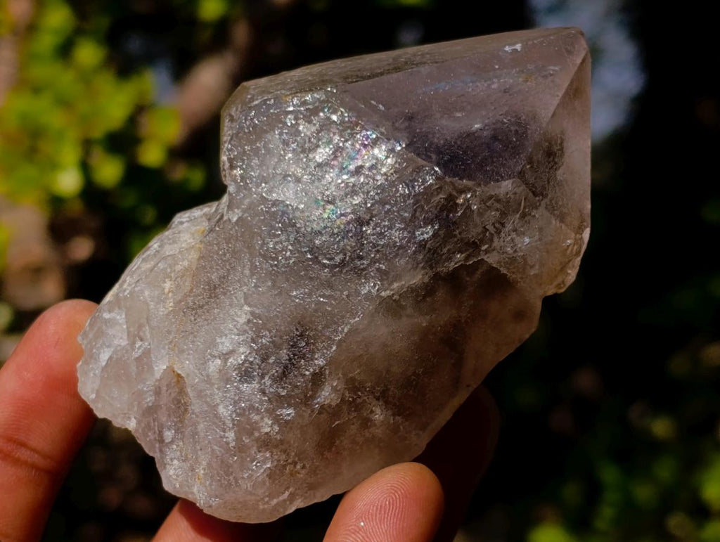 Natural Amethyst Crystals x 18 From Madagascar - Toprock Gemstones and Minerals 