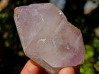 Natural Amethyst Crystals x 18 From Madagascar - Toprock Gemstones and Minerals 