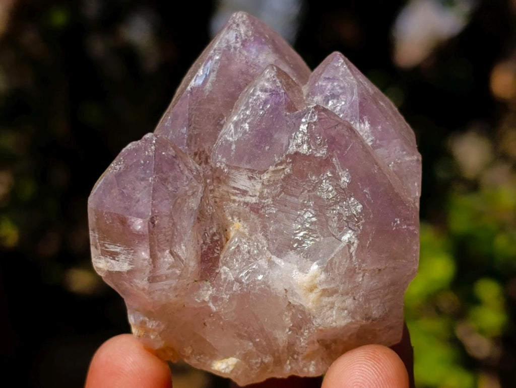 Natural Amethyst Crystals x 18 From Madagascar - Toprock Gemstones and Minerals 