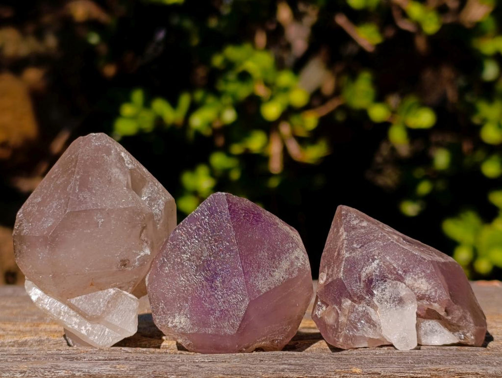 Natural Amethyst Crystals x 18 From Madagascar - Toprock Gemstones and Minerals 