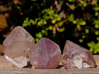 Natural Amethyst Crystals x 18 From Madagascar - Toprock Gemstones and Minerals 