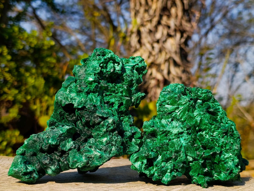 Natural Silky Malachite Specimens x 2 From Kasompe, Congo - Toprock Gemstones and Minerals 