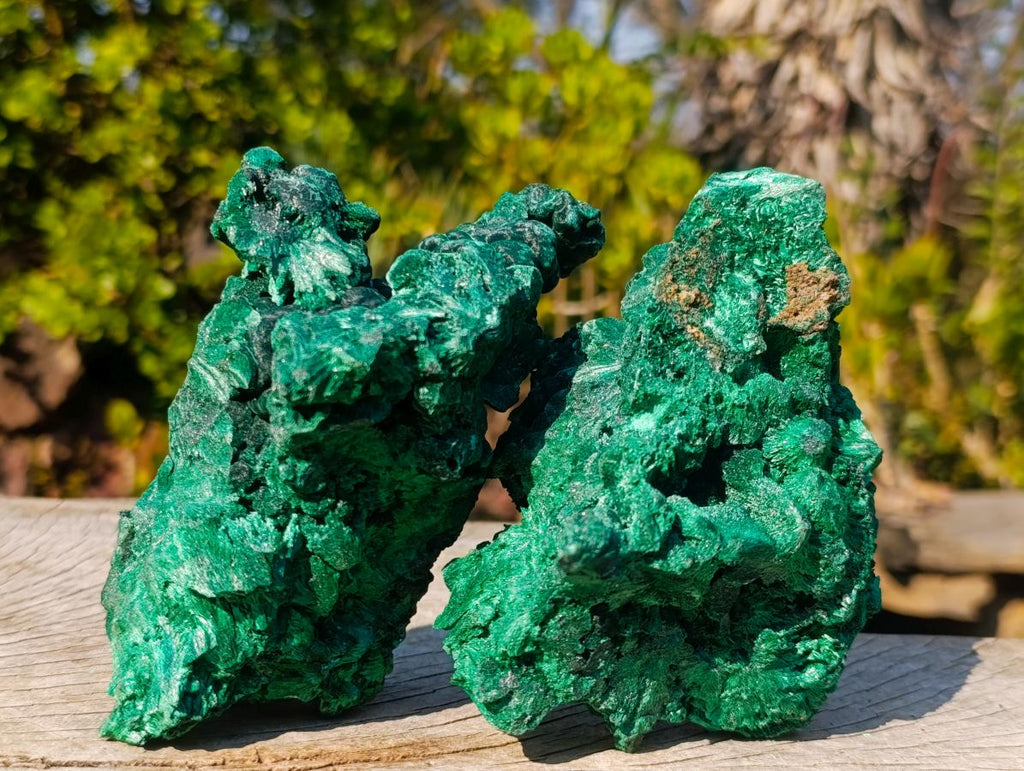 Natural Silky Malachite Specimens x 2 From Kasompe, Congo - Toprock Gemstones and Minerals 