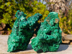 Natural Silky Malachite Specimens x 2 From Kasompe, Congo - Toprock Gemstones and Minerals 