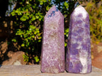 Polished Lepidolite Display Crystals x 3 From Ambatondrazaka, Madagascar - Toprock Gemstones and Minerals 