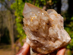 Natural Cascading White Phantom Smokey Luena Quartz Clusters x 4 From Luena, Congo - Toprock Gemstones and Minerals 