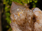 Natural Cascading White Phantom Smokey Luena Quartz Clusters x 4 From Luena, Congo - Toprock Gemstones and Minerals 