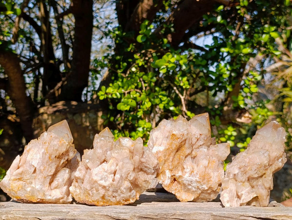 Natural Cascading White Phantom Smokey Luena Quartz Clusters x 4 From Luena, Congo - Toprock Gemstones and Minerals 