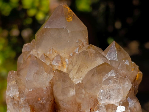 Natural Cascading White Phantom Smokey Luena Quartz Clusters x 4 From Luena, Congo - Toprock Gemstones and Minerals 
