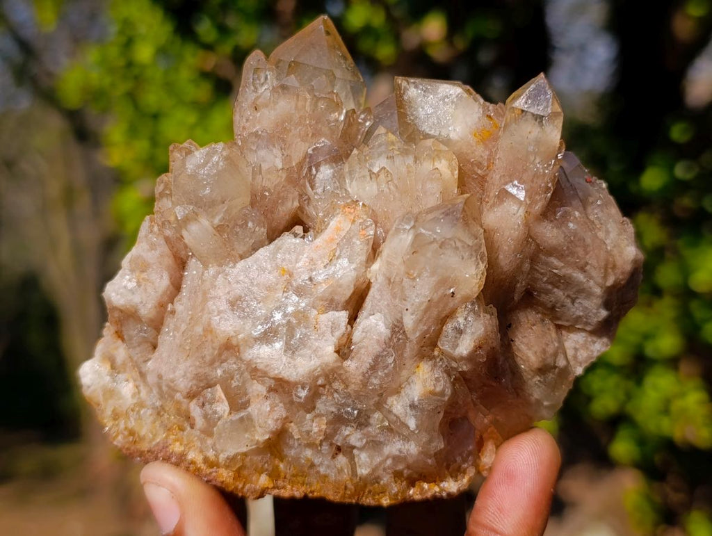 Natural Cascading White Phantom Smokey Luena Quartz Clusters x 4 From Luena, Congo - Toprock Gemstones and Minerals 