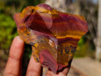 Natural Nguni Jasper Cobbed Specimens x 12 From Northern Cape, South Africa - Toprock Gemstones and Minerals 
