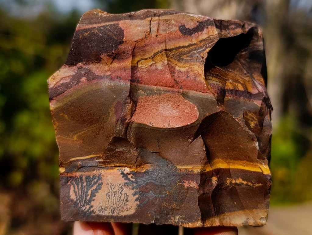 Natural Nguni Jasper Cobbed Specimens x 12 From Northern Cape, South Africa - Toprock Gemstones and Minerals 