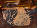 Natural Nguni Jasper Cobbed Specimens x 12 From Northern Cape, South Africa - Toprock Gemstones and Minerals 