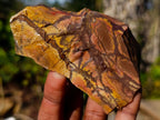 Natural Nguni Jasper Cobbed Specimens x 12 From Northern Cape, South Africa - Toprock Gemstones and Minerals 
