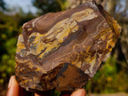 Natural Nguni Jasper Cobbed Specimens x 12 From Northern Cape, South Africa - Toprock Gemstones and Minerals 