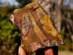 Natural Nguni Jasper Cobbed Specimens x 12 From Northern Cape, South Africa - Toprock Gemstones and Minerals 