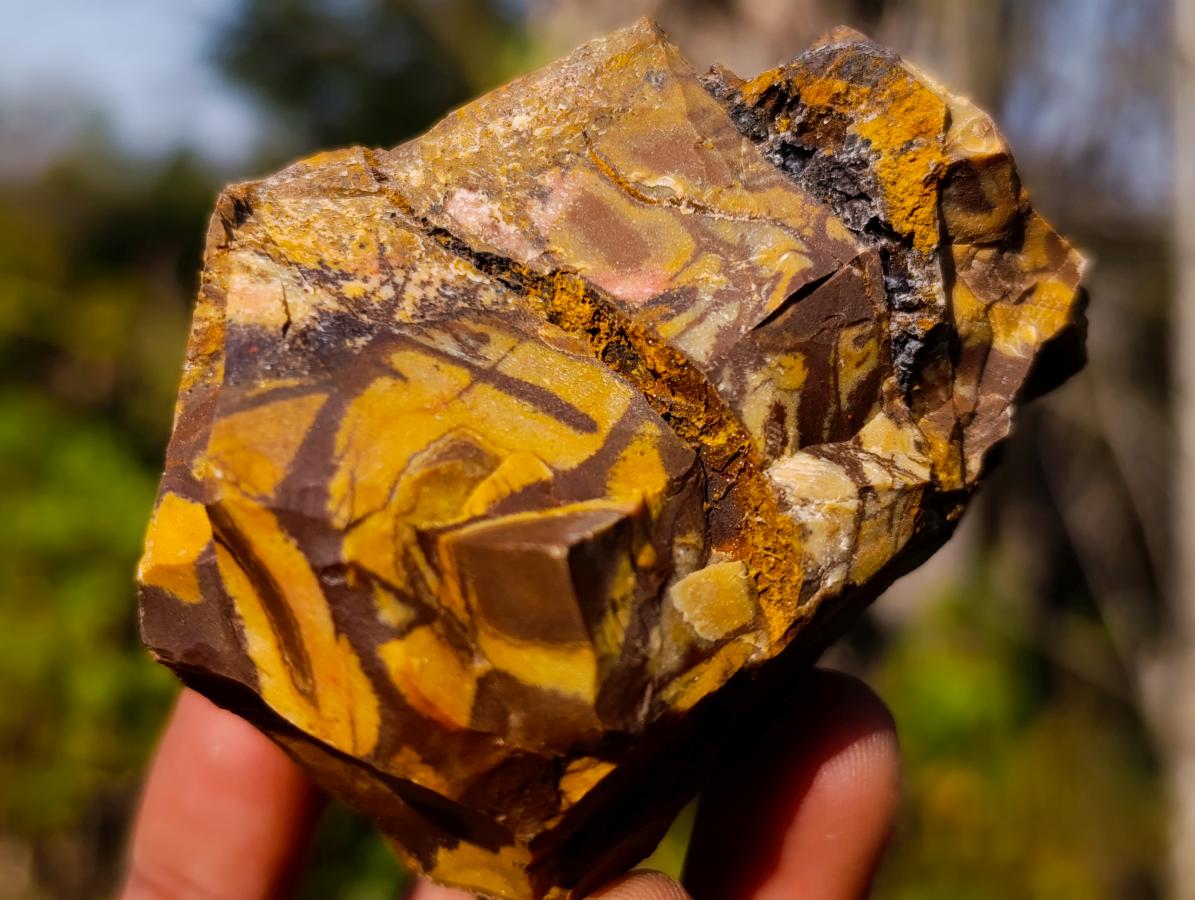 Natural Nguni Jasper Cobbed Specimens x 12 From Northern Cape, South Africa - Toprock Gemstones and Minerals 