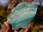 Polished One Side Mtorolite Chrysoprase Slices x 6 From Mutorashanga, Zimbabwe - Toprock Gemstones and Minerals 
