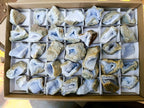 Natural Small Blue Lace Agate Geode Specimens x 35 From Nsanje, Malawi - Toprock Gemstones and Minerals 