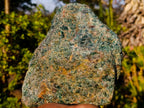 Natural Rare Large Green Apatite Standing Display Specimen x 1 From Betroka, Madagascar - Toprock Gemstones and Minerals 