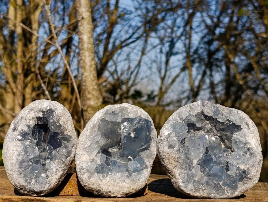 Natural Blue Celestite Geode Specimens x 3 From Sakoany, Madagascar - Toprock Gemstones and Minerals 