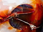 Polished and Natural Carnelian Agate Gemstone Spheres x 6 From Madagascar - Toprock Gemstones and Minerals 
