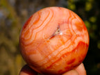 Polished and Natural Carnelian Agate Gemstone Spheres x 6 From Madagascar - Toprock Gemstones and Minerals 