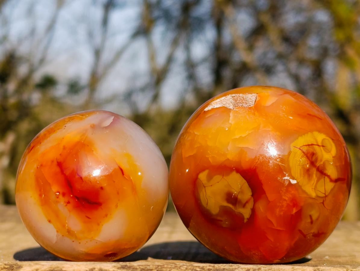 Polished and Natural Carnelian Agate Gemstone Spheres x 6 From Madagascar - Toprock Gemstones and Minerals 