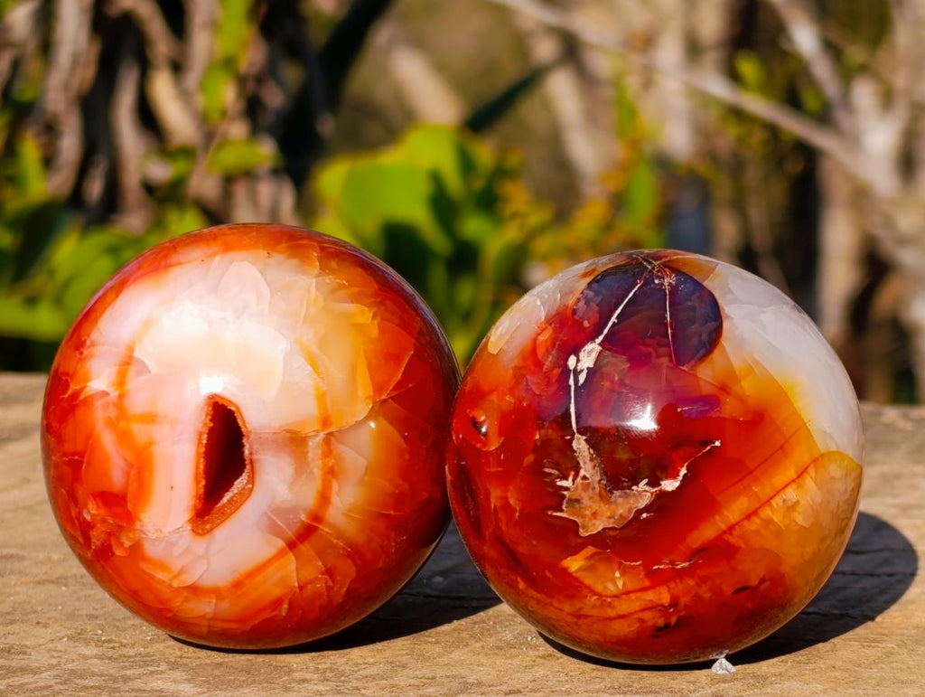 Polished and Natural Carnelian Agate Gemstone Spheres x 6 From Madagascar - Toprock Gemstones and Minerals 