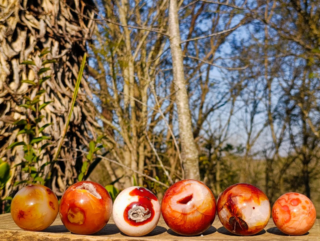 Polished and Natural Carnelian Agate Gemstone Spheres x 6 From Madagascar - Toprock Gemstones and Minerals 