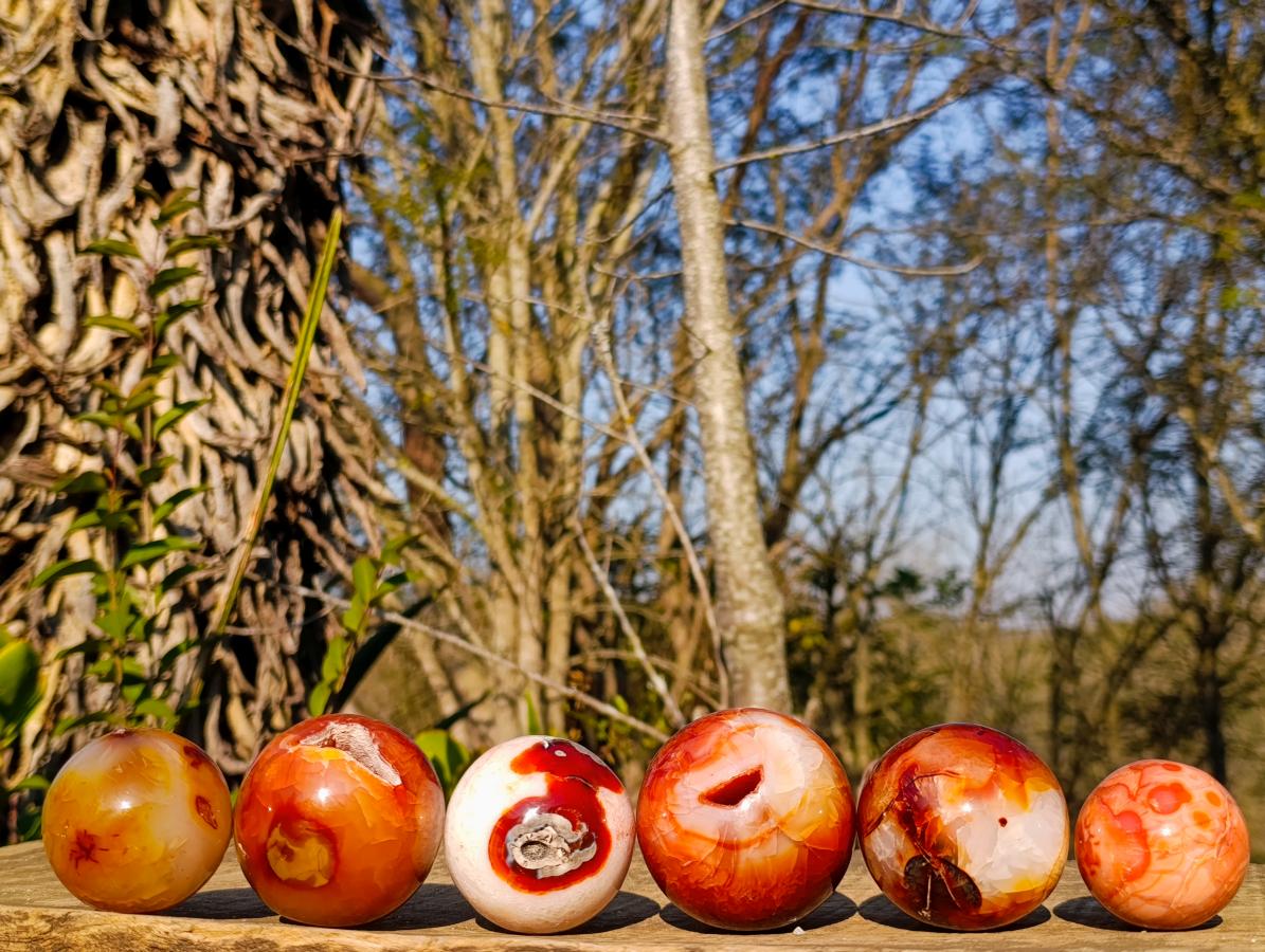 Polished and Natural Carnelian Agate Gemstone Spheres x 6 From Madagascar - Toprock Gemstones and Minerals 