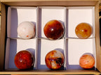 Polished and Natural Carnelian Agate Gemstone Spheres x 6 From Madagascar - Toprock Gemstones and Minerals 
