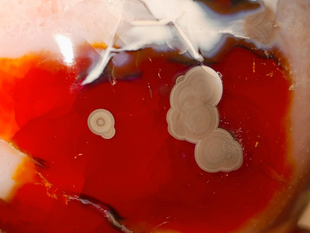 Polished and Natural Carnelian Agate Gemstone Spheres x 6 From Madagascar - Toprock Gemstones and Minerals 