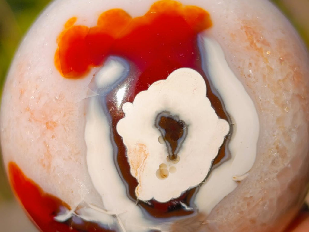 Polished and Natural Carnelian Agate Gemstone Spheres x 6 From Madagascar - Toprock Gemstones and Minerals 