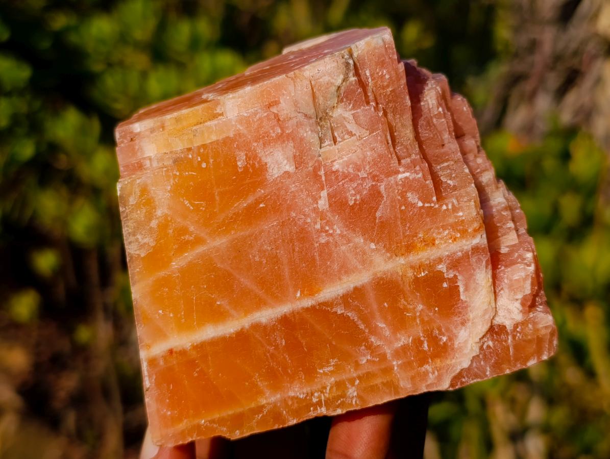 Natural Rhombohedral Sunset Orange Calcite Specimens x 3 From Spitzkop, Namibia - Toprock Gemstones and Minerals 