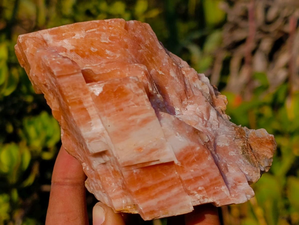 Natural Rhombohedral Sunset Orange Calcite Specimens x 3 From Spitzkop, Namibia - Toprock Gemstones and Minerals 