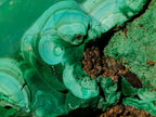 Natural Botryoidal Malachite Specimens x 4 From Congo - Toprock Gemstones and Minerals 