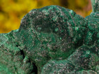 Natural Botryoidal Malachite Specimens x 4 From Congo - Toprock Gemstones and Minerals 