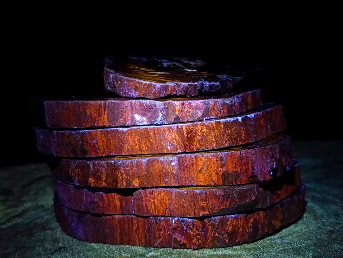 Polished One Side Rich Chocolate Dadoxylon Petrified Wood Slices x 6 From Gokwe, Zimbabwe - Toprock Gemstones and Minerals 