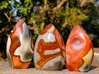 Polished Polychrome Jasper Standing Display Pieces x 6 From Androka, Madagascar - Toprock Gemstones and Minerals 