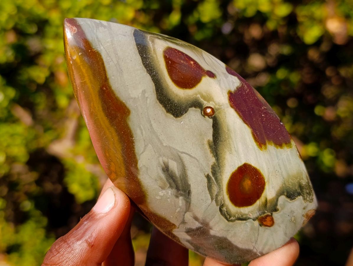 Polished Polychrome Jasper Standing Display Pieces x 6 From Androka, Madagascar - Toprock Gemstones and Minerals 