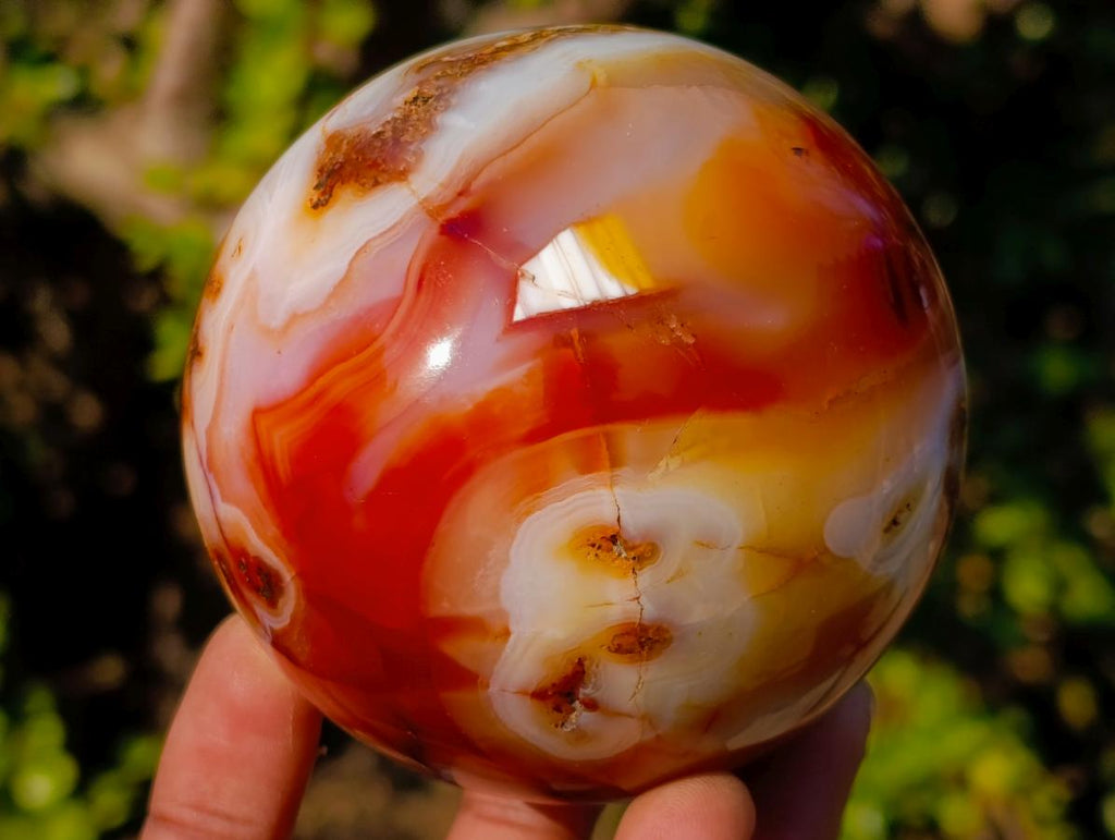 Polished and Natural Carnelian Agate Gemstone Spheres x 2 From Madagascar - Toprock Gemstones and Minerals 