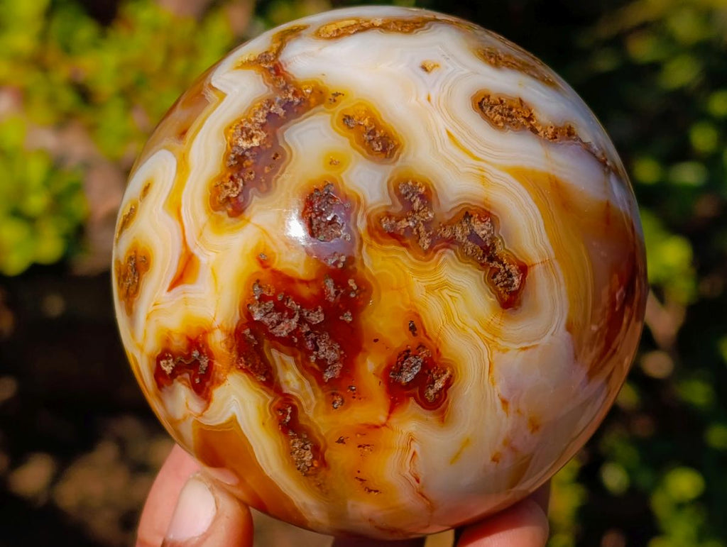Polished and Natural Carnelian Agate Gemstone Spheres x 2 From Madagascar - Toprock Gemstones and Minerals 
