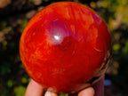 Polished and Natural Carnelian Agate Gemstone Spheres x 2 From Madagascar - Toprock Gemstones and Minerals 