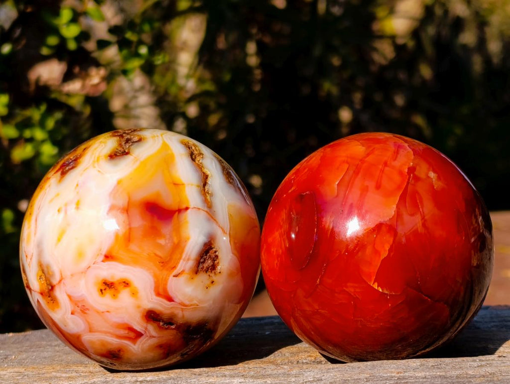 Polished and Natural Carnelian Agate Gemstone Spheres x 2 From Madagascar - Toprock Gemstones and Minerals 