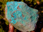 Natural Shattuckite Cobbed Pieces x 4 From Kaokoveld, Namibia - Toprock Gemstones and Minerals 