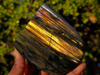 Polished Labradorite Standing Display Pieces x 3 From Madagascar - Toprock Gemstones and Minerals 