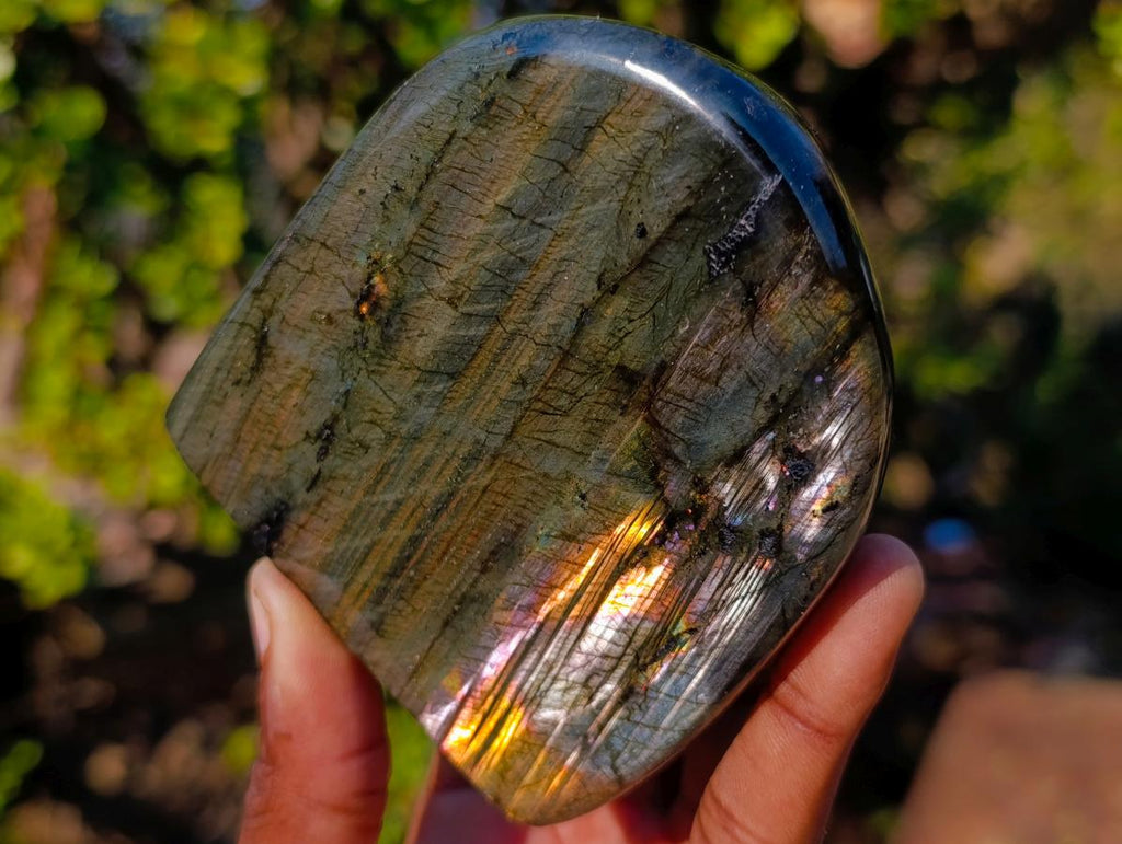 Polished Labradorite Standing Display Pieces x 3 From Madagascar - Toprock Gemstones and Minerals 