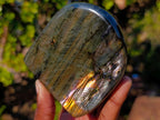 Polished Labradorite Standing Display Pieces x 3 From Madagascar - Toprock Gemstones and Minerals 