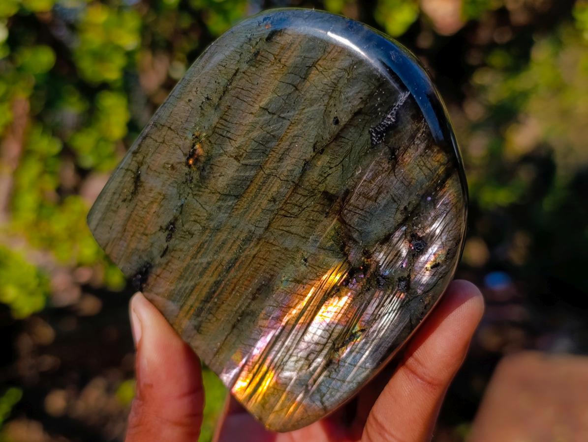 Polished Labradorite Standing Display Pieces x 3 From Madagascar - Toprock Gemstones and Minerals 